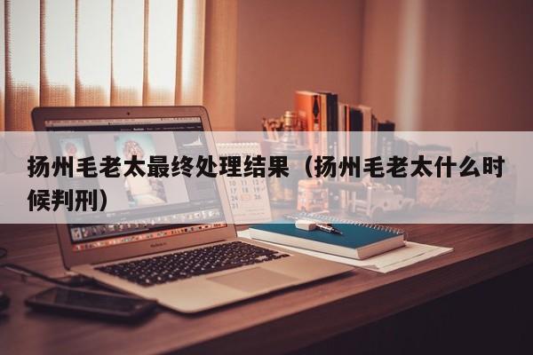 扬州毛老太最终处理结果(扬州毛老太什么时候判刑)