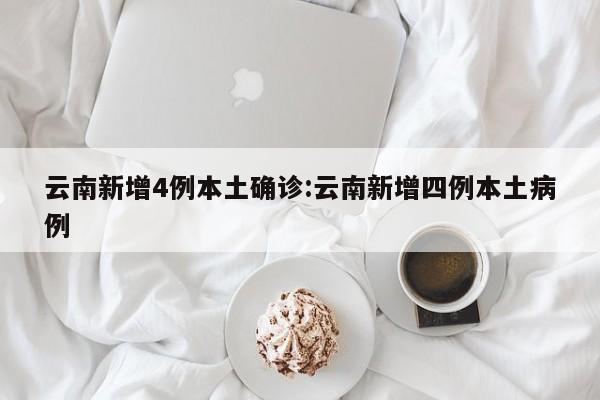 云南新增4例本土确诊:云南新增四例本土病例