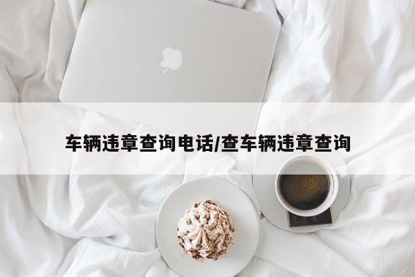车辆违章查询电话/查车辆违章查询
