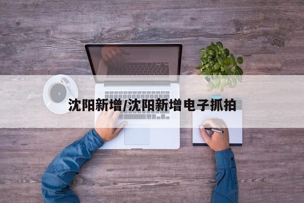 沈阳新增/沈阳新增电子抓拍