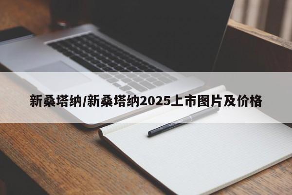 新桑塔纳/新桑塔纳2025上市图片及价格