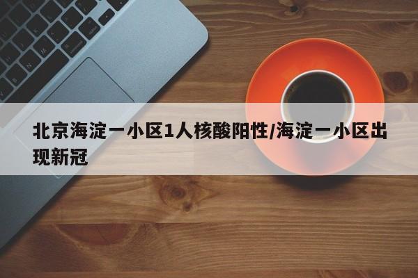 北京海淀一小区1人核酸阳性/海淀一小区出现新冠